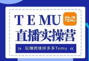Temu直播实战营，玩赚跨境拼多多Temu，国内电商卷就出海赚美金-网创之道