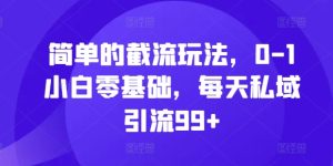 简单的截流玩法,0-1小白零基础,每天私域引流99+-网创之道