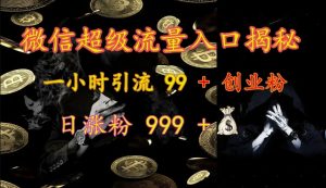 微信超级流量入口揭秘:一小时引流 99 + 创业粉,日涨粉 999 +-网创之道