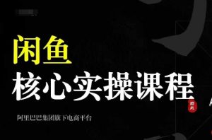 2024闲鱼核心实操课程,从养号、选品、发布、销售,教你做一个出单的闲鱼号-网创之道