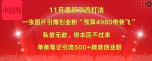 小红书11月最新图片打粉，一张图片引爆创业粉，“预算4980带我飞”，单条引流500+精准创业粉-网创之道