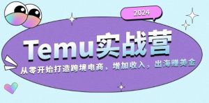2024Temu实战营：从零开始打造跨境电商，增加收入，出海赚美金-网创之道