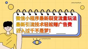 微信小程序最新裂变流量玩法，时间自由收益高轻松赚广告费，日入过千不是梦！-网创之道