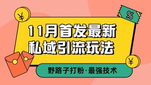 11月首发最新私域引流玩法，自动克隆爆款一键改写截流自热一体化 日引300+精准粉-网创之道