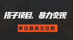 2024搭子玩法,0门槛,暴力变现,单日最高破四位数-网创之道