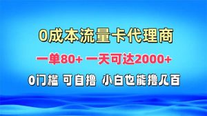 免费流量卡代理一单80+ 一天可达2000+-网创之道