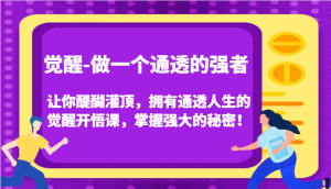 认知觉醒,让你醍醐灌顶拥有通透人生,掌握强大的秘密!觉醒开悟课(更新)-网创之道