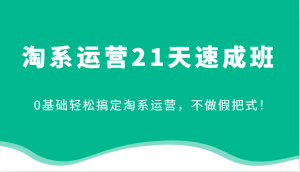 淘系运营21天速成班,0基础轻松搞定淘系运营,不做假把式!-网创之道