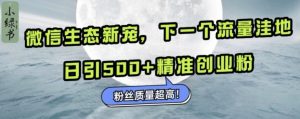 微信生态新宠小绿书:下一个流量洼地,日引500+精准创业粉,粉丝质量超高-网创之道