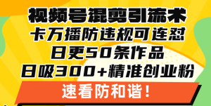 视频号混剪引流技术,500万播放引流17000创业粉,操作简单当天学会-网创之道