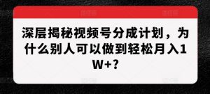 深层揭秘视频号分成计划,为什么别人可以做到轻松月入1W+?-网创之道