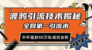 渡鸦引流技术,全网第一引流术,半年辐射80万私域创业粉-网创之道