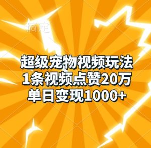 超级宠物视频玩法,1条视频点赞20万,单日变现1k-网创之道