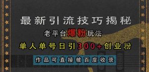 最新引流技巧揭秘,老平台爆粉玩法,单人单号日引300+创业粉,作品可直…-网创之道