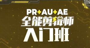 PR+AU+AE全能剪辑师入门班，剪辑入门必学课程-网创之道