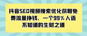 抖音SEO视频搜索优化获取免费流量挣钱,一个99%人还不知道的生财之道-网创之道