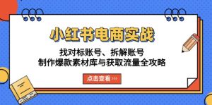小红书电商实战:找对标账号、拆解账号、制作爆款素材库与获取流量全攻略-网创之道