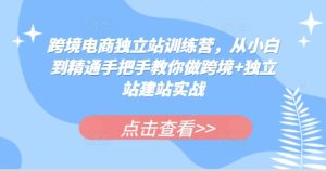 跨境电商独立站训练营,从小白到精通手把手教你做跨境+独立站建站实战-网创之道