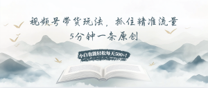 视频号带货玩法,抓住精准流量,5分钟一条原创,小白也能轻松每天500+!-网创之道