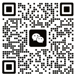 会员群-网创之道