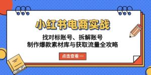 小红书电商实战:找对标账号、拆解账号、制作爆款素材库与获取流量全攻略-网创之道