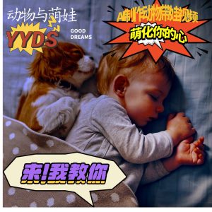 AI制作动物与萌娃互动视频,瞬间萌化你的心,粉丝大米一起收货!-网创之道