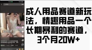 成人用品赛道新玩法,情趣用品一个长期暴利的赛道,3个月收益20个-网创之道