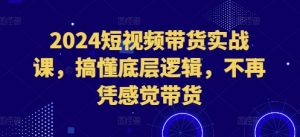 2024短视频带货实战课,搞懂底层逻辑,不再凭感觉带货-网创之道