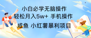 10天赚了3.6万,年前风口利润超级高,手机操作就可以,多劳多得-网创之道