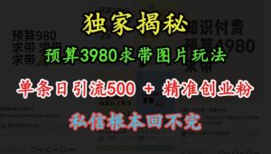 预算3980求带 图片玩法，单条日引流500+精准创业粉，私信根本回不完-网创之道