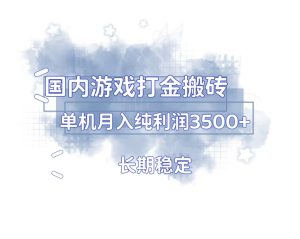 国内游戏打金搬砖,长期稳定,单机纯利润3500+多开多得-网创之道