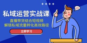 私域运营实战课:直播带货结合短视频,解锁私域流量转化高效路径-网创之道