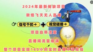 2024年最新稀缺项目敦煌飞天无人直播，项目自带流量，流量爆满，实现160小时实时直播不违规操-网创之道