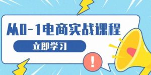 从零做电商实战课程,教你如何获取访客、选品布局,搭建基础运营团队-网创之道