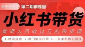 小Red书带货42天训练营 2.0版,宝妈+自由职+上班族+大学生,提高副业收入的大红利项目-网创之道