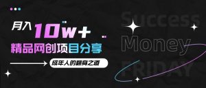 月入十万+的网创项目分享，成年人的最快翻身之道-网创之道