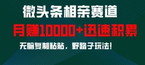 微头条相亲赛道，迅速积累，无脑复制粘贴，野路子玩法，月入1w-网创之道