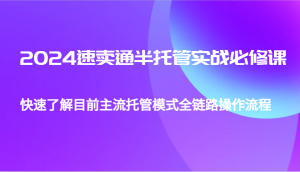 2024速卖通半托管从0到1实战必修课，帮助你快速了解目前主流托管模式全链路操作流程-网创之道