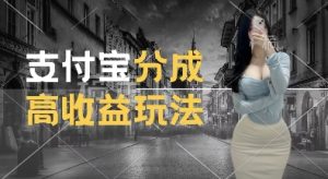 支付宝分成计划新玩法，利用交通事故视频，赚收益，轻松月入过W，操作简单-网创之道