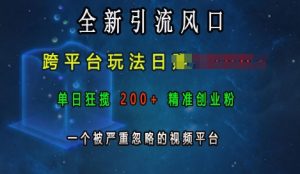 全新引流风口，跨平台玩法日入上k，单日狂揽200+精准创业粉，一个被严重忽略的视频平台-网创之道