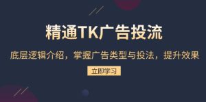 精通TK广告投流:底层逻辑介绍,掌握广告类型与投法,提升效果-网创之道
