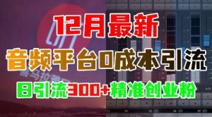 12月最新:音频平台0成本引流,日引流300+精准创业粉-网创之道