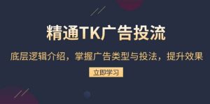 精通TK广告投流：底层逻辑介绍，掌握广告类型与投法，提升效果-网创之道