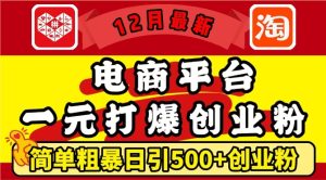 12月最新:电商平台1元打爆创业粉,简单粗暴日引500+精准创业粉,轻松月入过W-网创之道