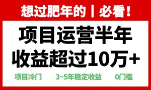 年前过肥年的必看的超冷门项目，半年收益超过10万+，-网创之道