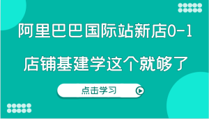 阿里巴巴国际站新店0-1，个人实践实操录制从0-1基建，店铺基建学这个就够了-网创之道