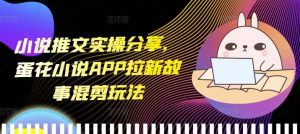 小说推文实操分享，蛋花小说APP拉新故事混剪玩法-网创之道