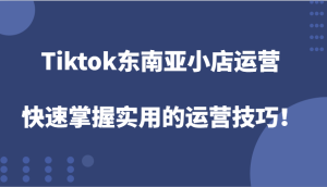 Tiktok东南亚小店运营，快速掌握实用的运营技巧！-网创之道
