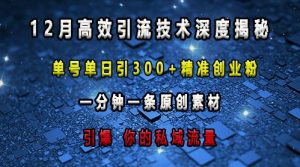 最新高效引流技术深度揭秘 ，单号单日引300+精准创业粉，一分钟一条原创素材，引爆你的私域流量-网创之道