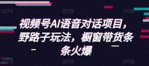 视频号AI语音对话项目,野路子玩法,橱窗带货条条火爆-网创之道